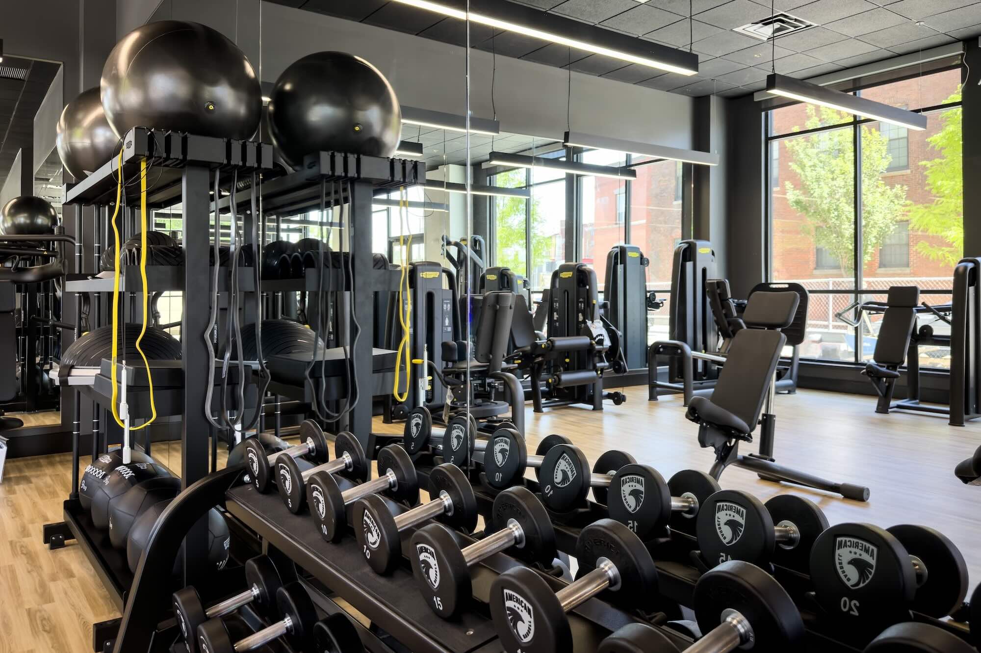 Modern gym interior with free weights on racks, cardio machines, and large windows letting in natural light.